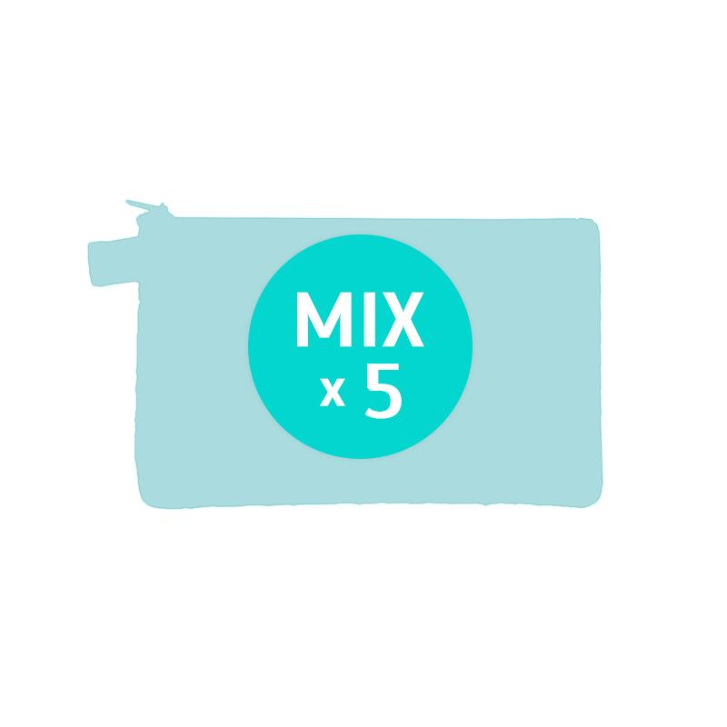 [CPS048] Mixed Mobile Purse cold color (5pcs)